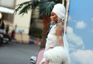 ויני הארלו (צילום: Jerritt Clark/Getty Images for Vogue)