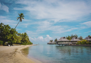 פולינזיה הצרפתית, MSC Cruises (צילום: יח"צ)