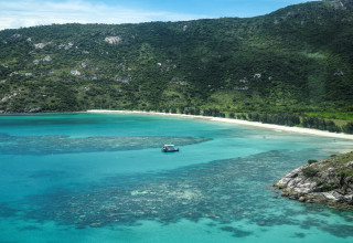 אי הלטאה (צילום: DAVID GRAY/AFP via Getty Images)