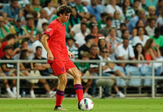 דייגו הורמיגו (צילום: )