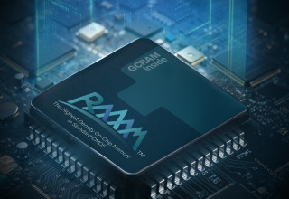  raaam chip  (צילום:  raaam chip )