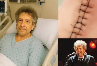 פייק בוב דילן (צילום: צילום מסך)