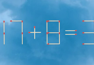 הזיזו גפרור אחד כדי לפתור את המשוואה (צילום: מערכת מעריב)