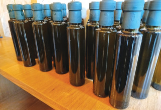 שמן זית "מורשת" (צילום: אילנה שטוטלנד)