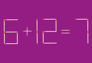 חידת גפרורים (צילום: מערכת מעריב)