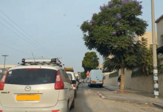 פקקים באשדוד (צילום: איתמר ג׳ורג׳)