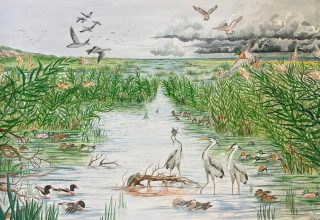 איור (צילום: דריה לוקשין-גנדזילוב)