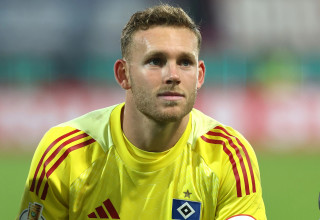 שוער המבורג, דניאל פרץ (צילום: GettyImages, Alexander Hassenstein)