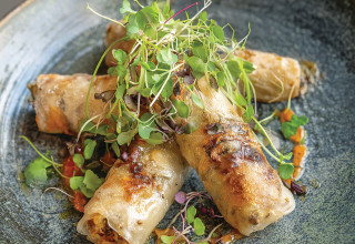 דפי אורז (צילום: פסקל פרץ-רובין)