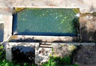 עין עלמין (צילום: אבי אריש, לרשות ניקוז ונחלים כינרת)