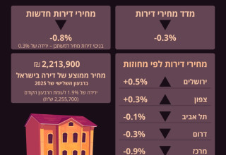 מדד מחירי דירות  (צילום: ללא קרדיט)