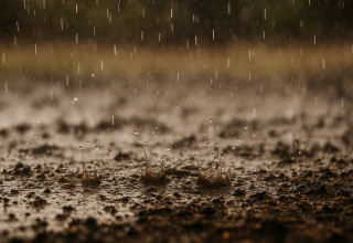 גשם ניתז על אדמה רטובה. ריח החיים חוזר (צילום: מעריב אונליין)