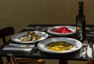 אירועי ראשון המסיק של רוברטה וינצ'י ופתורה (צילום: שני הלוי)