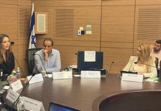 ח"כ מירב כהן בדיון בכנסת על אלימות נגד נשים (צילום: ללא קרדיט)