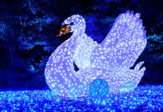 פסטיבל האור LUMAGICA גני יהושע 2025 (צילום: MK-illumination)