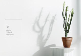 טמבור צבע השנה 2026, סטיילינג עמית פרבר (צילום: רונן מנגן)