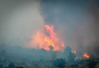 שריפה  (צילום: יונתן זינדל פלאש 90)