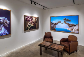 תערוכת אומנות ב-AI (צילום:  רועי עדין)