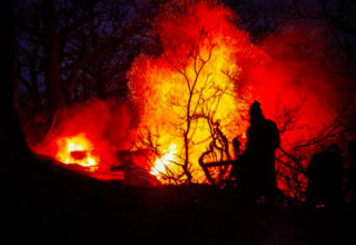 שריפות בצפון איראן (צילום: צילום מסך מתוך רשתות חברתיות)
