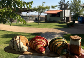 קפה קפקה –מושב שעל (צילום: משק מלול)