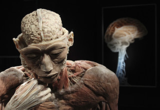 תערוכת גופות אמיתיות (צילום: REUTERS)