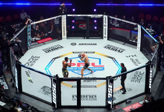 זירת MMA, אילוסטרציה (צילום: Cooper Neill)