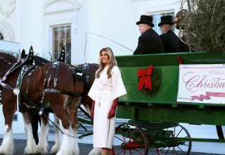 מלניה טראמפ (צילום: רויטרס)