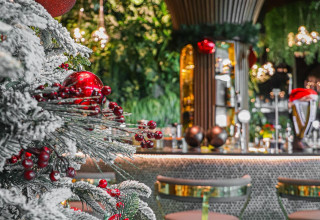 מלון רמדה אוליביה (צילום: גנאן אבו ריש)