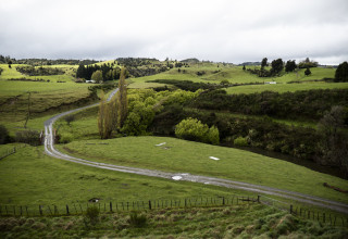 ניו זילנד (צילום: Toni Greaves/Getty Images for Lumix)