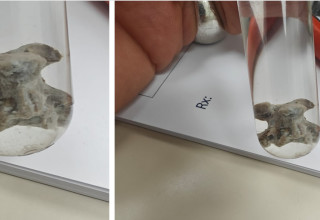 חוליה מתוך העצם (צילום: דוברות שערי צדק)