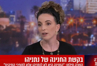 עידית סילמן בערוץ I24NEWS (צילום: צילום מסך, ערוץ 15)