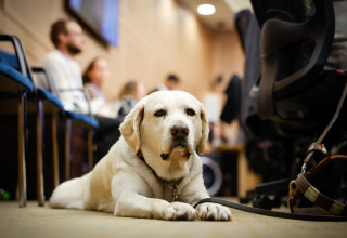 דיון בכנסת על הנגשה ושוויון זכויות לאנשים המלווים בכלבי סיוע (צילום: נועם מושקוביץ, דוברות הכנסת)