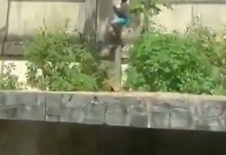 צעיר מתגנב למתחם של לביאה בגן חיות בברזיל (צילום: צילום מסך רשת X)