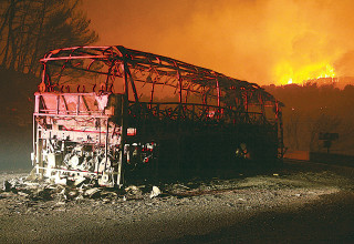 אסון הכרמל (צילום: מקס ילינסון)