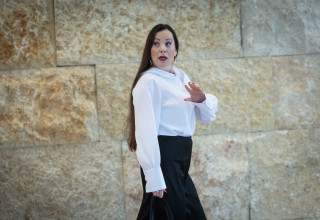 טלי גוטליב (צילום: יונתן זינדל פלאש 90)