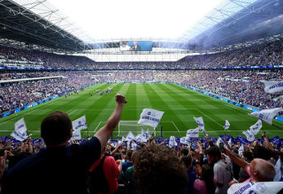 אצטדיון ברייטון (צילום: )