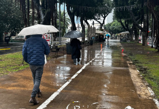 הסופה ביירון  - גשם בתל אביב (צילום: אבשלום ששוני)