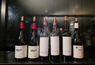 זאפה ויקבי כרמל (צילום: זאפה)