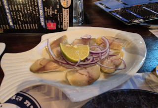 פלמידה  (צילום: ניר קיפניס)