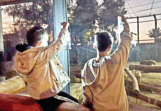 סיור עששיות במדבריום פארק החיות (צילום: מורן לוי)