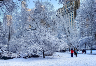 סנטרל פארק בשלג (צילום: רשתות חברתיות, שימוש לפי סעיף 27 א')