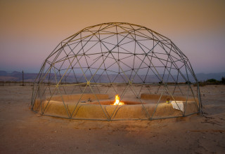 לוטן (צילום: איה בן עזרי)