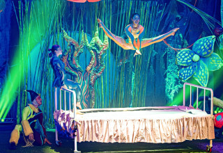 קרקס בראבו  (צילום: ילנה לחמן)