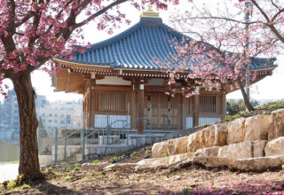 הבית היפני בגן הבוטני בירושלים (צילום: באדיבות הבית היפני בגן הבוטני)