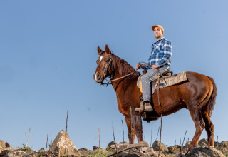 יואל זילברמן (צילום: יוסי אלוני)