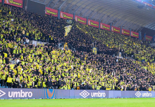 אוהדי בית"ר ירושלים (צילום: ברני ארדוב)