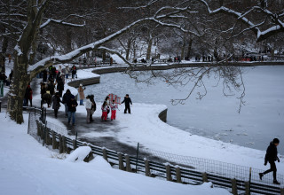 סנטרל פארק בניו יורק אחרי סופת השלגים, 27.12.25 (צילום: רויטרס)