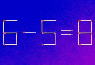 חידת גפרורים (צילום: מערכת מעריב)