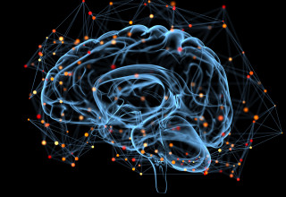 בינה מלאכותית (צילום: אינגאימג')