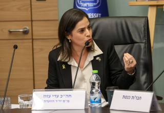 עדי עזוז (צילום: דוברות הכנסת, דני שם טוב)